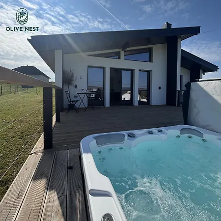 Olive Nest Apartament