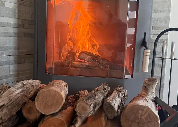 Olive Nest * Szolosgyorok